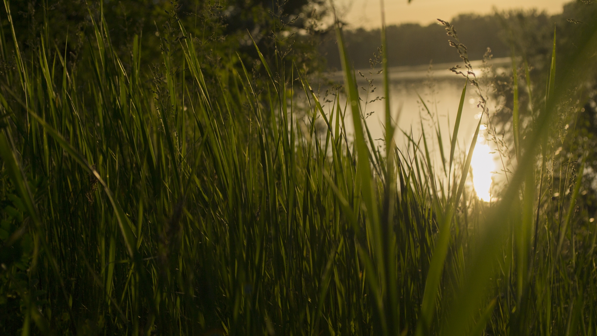 sunset-1528746930048-2300