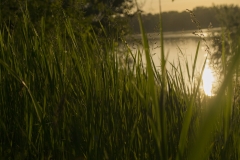 sunset-1528746930048-2300